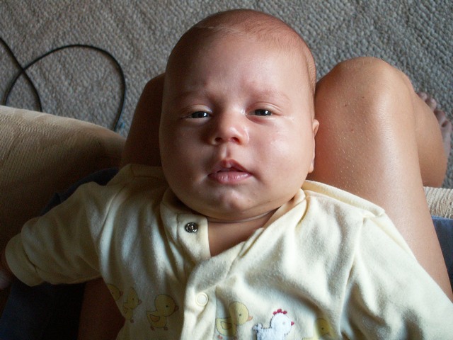 PICT1440.JPG  (78.0 Kb)