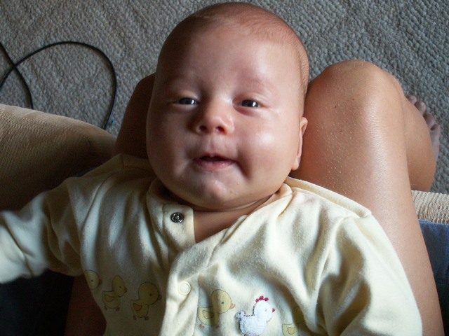 PICT1441.JPG  (80.3 Kb)