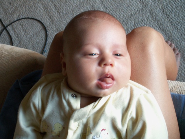 PICT1442.JPG  (71.1 Kb)