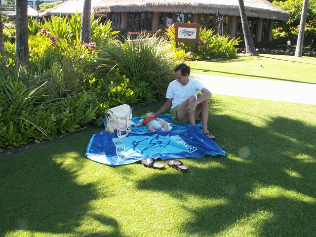 PICT1449.JPG  (140.1 Kb)