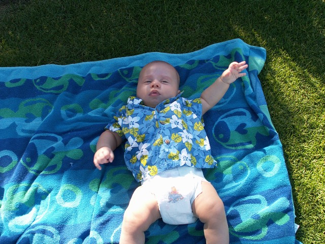 PICT1469.JPG  (134.9 Kb)