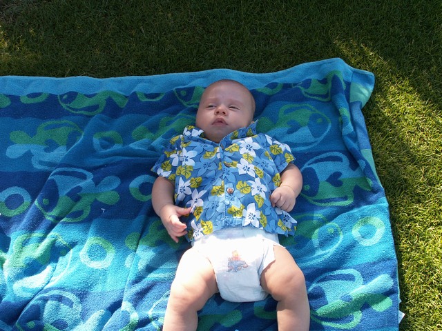 PICT1470.JPG  (134.3 Kb)