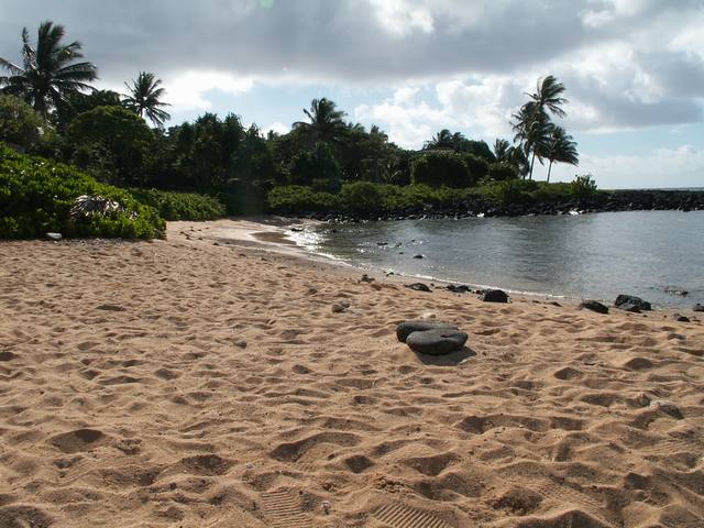 PICT0277.JPG  (60.7 Kb)