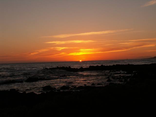 PICT0299.JPG  (20.1 Kb)