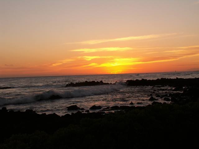 PICT0303.JPG  (22.7 Kb)