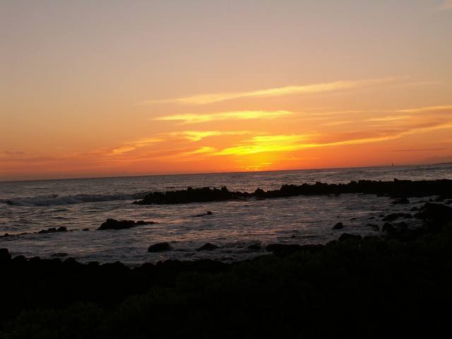 PICT0305.JPG  (22.3 Kb)