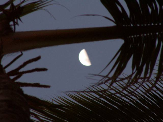 PICT0306.JPG  (28.1 Kb)