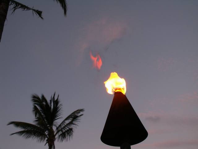 PICT0309.JPG  (14.2 Kb)