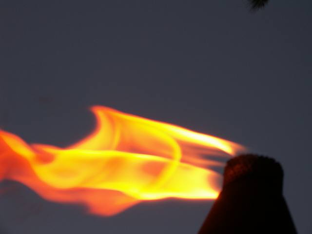 PICT0311.JPG  (12.7 Kb)