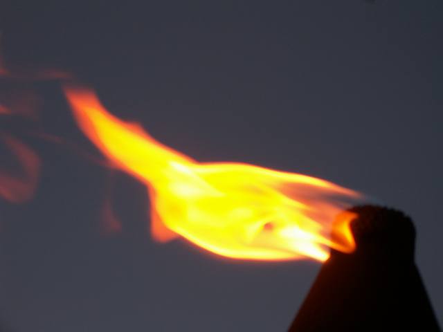 PICT0313.JPG  (11.8 Kb)