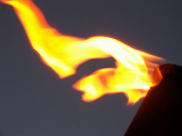 PICT0317.JPG  (14.9 Kb)