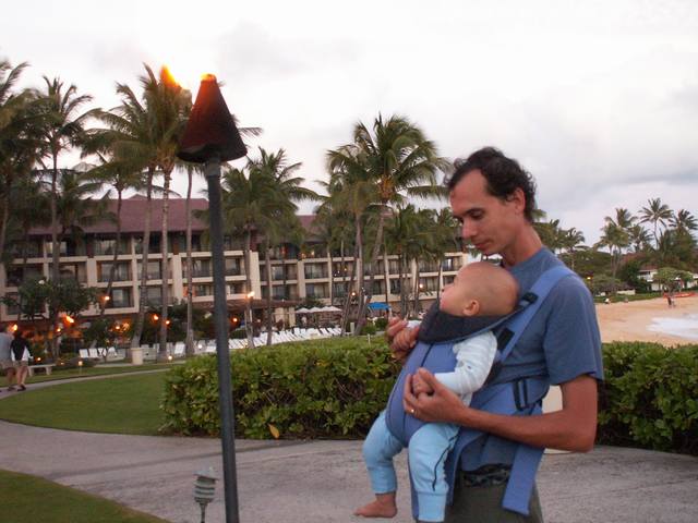PICT0319.JPG  (45.4 Kb)