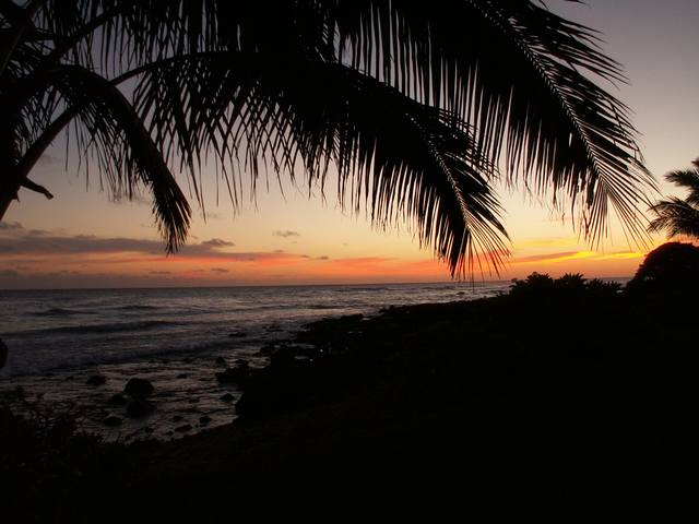 PICT0320.JPG  (40.4 Kb)