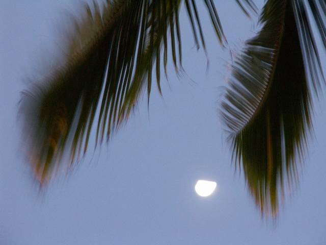 PICT0321.JPG  (24.6 Kb)
