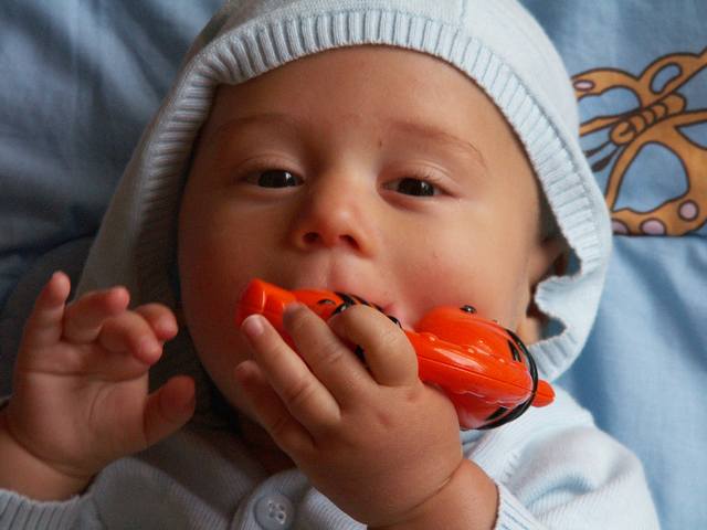 PICT0322.JPG  (32.9 Kb)