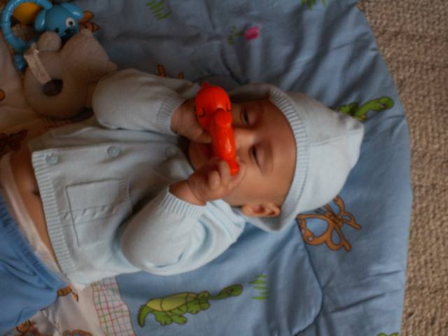 PICT0327.JPG  (30.2 Kb)