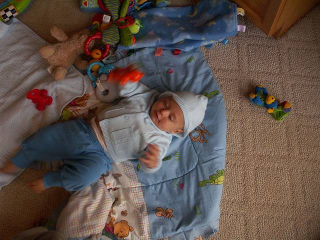 PICT0328.JPG  (50.9 Kb)