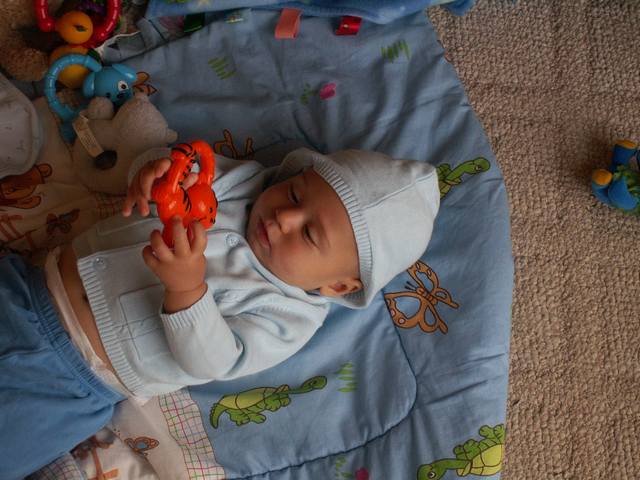 PICT0329.JPG  (47.5 Kb)