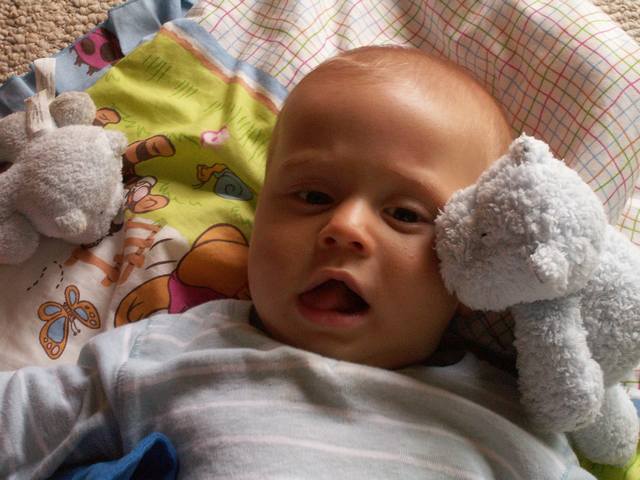 PICT0333.JPG  (45.4 Kb)