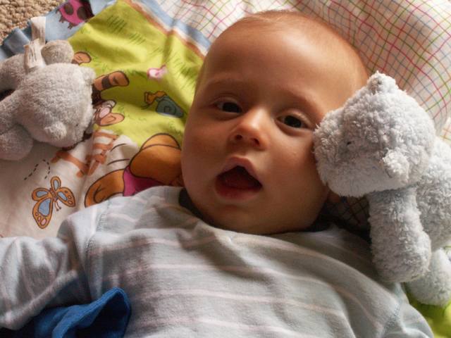 PICT0334.JPG  (42.4 Kb)