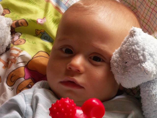 PICT0337.JPG  (37.0 Kb)