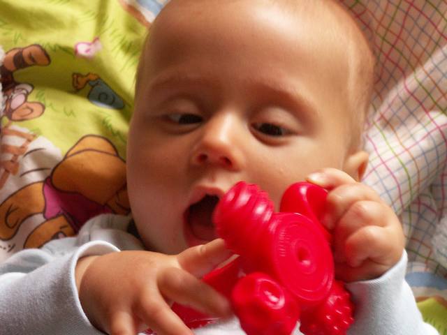 PICT0338.JPG  (34.0 Kb)