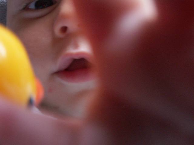 PICT0341.JPG  (16.7 Kb)