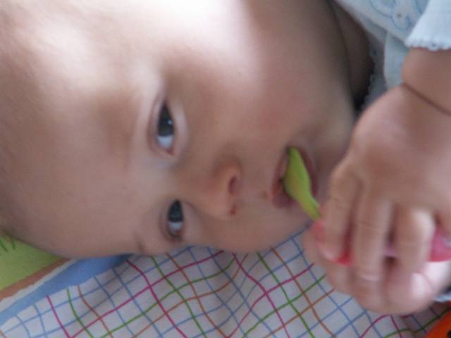PICT0354.JPG  (22.4 Kb)