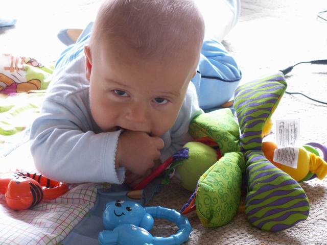 PICT0356.JPG  (41.0 Kb)