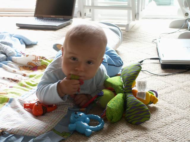 PICT0357.JPG  (46.5 Kb)