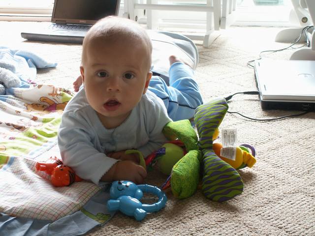 PICT0358.JPG  (53.1 Kb)