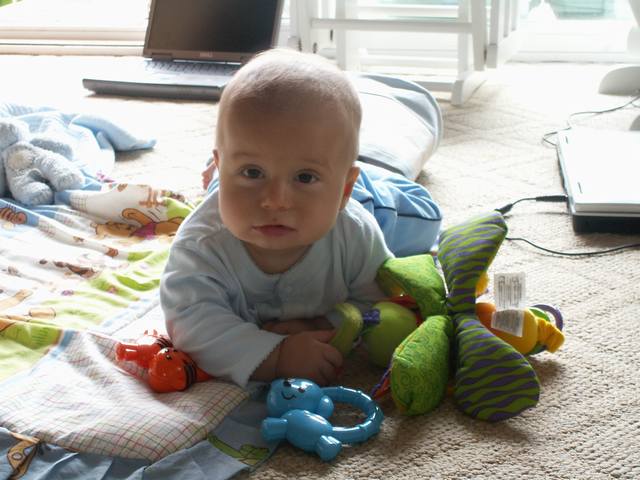 PICT0359.JPG  (46.1 Kb)