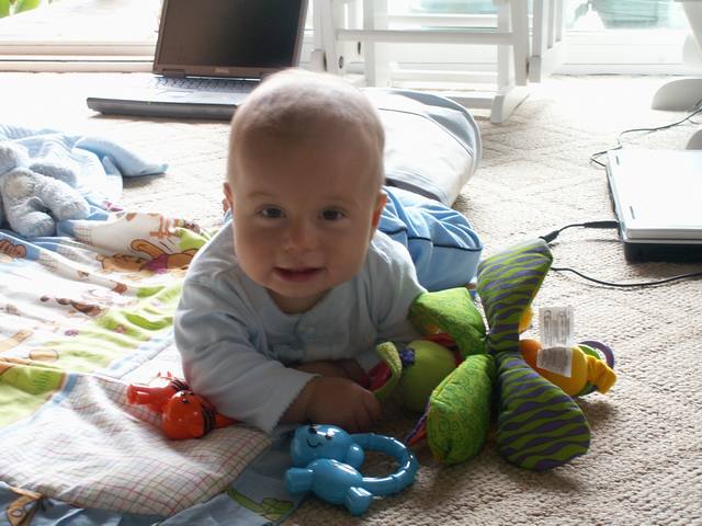PICT0360.JPG  (49.2 Kb)