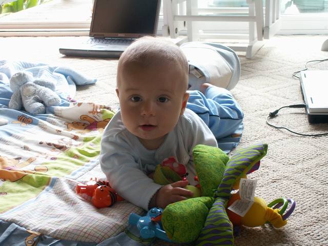 PICT0362.JPG  (52.1 Kb)