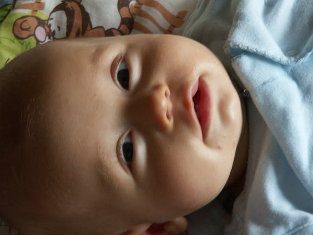 PICT0363.JPG  (25.7 Kb)