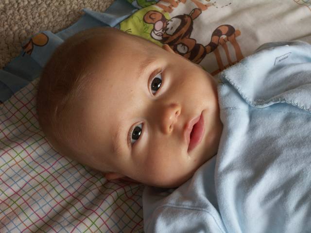PICT0364.JPG  (37.0 Kb)