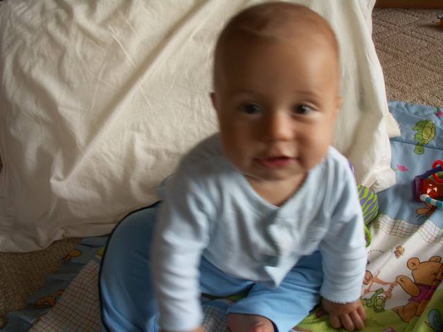 PICT0366.JPG  (34.0 Kb)