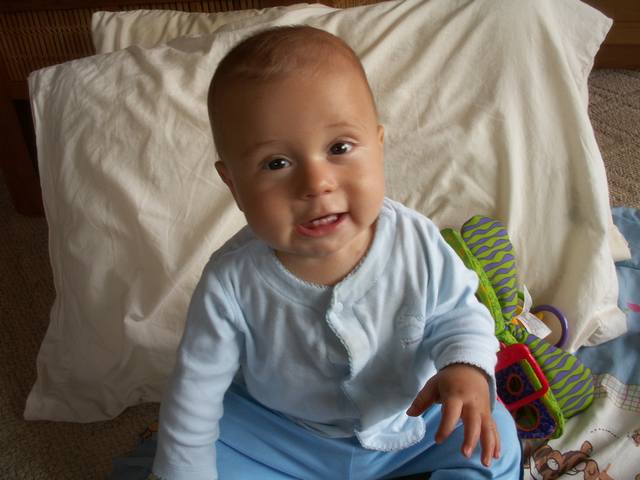 PICT0368.JPG  (36.7 Kb)