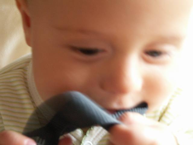 PICT0372.JPG  (17.7 Kb)