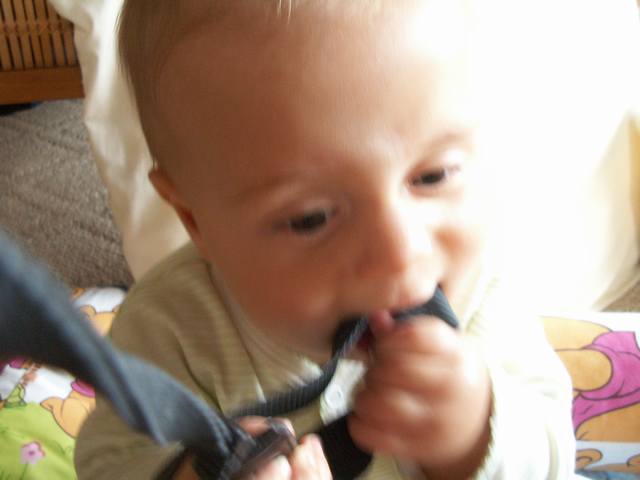 PICT0374.JPG  (23.6 Kb)