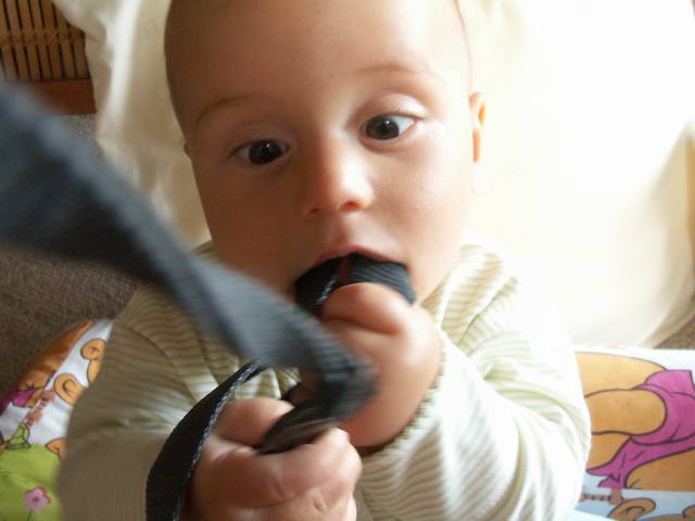 PICT0375.JPG  (26.6 Kb)