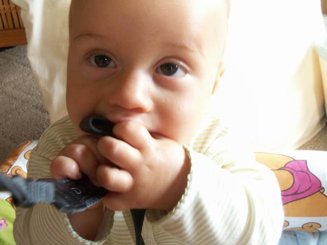 PICT0376.JPG  (26.9 Kb)