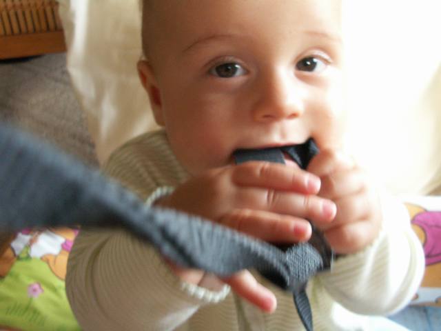 PICT0378.JPG  (24.3 Kb)