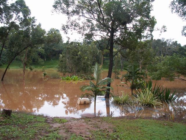 PICT0386.JPG  (70.4 Kb)