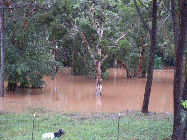 PICT0393.JPG  (52.4 Kb)