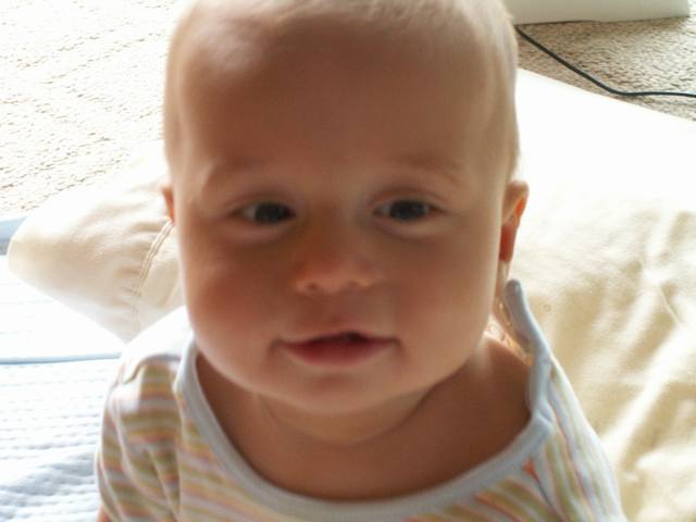 PICT0413.JPG  (25.3 Kb)