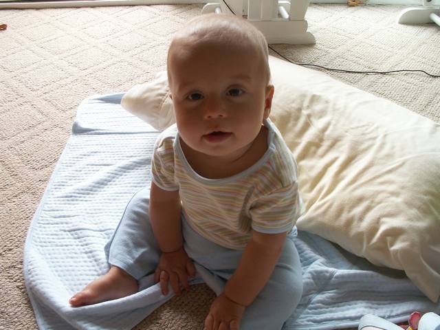 PICT0416.JPG  (47.7 Kb)