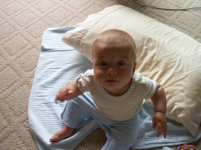 PICT0417.JPG  (52.1 Kb)