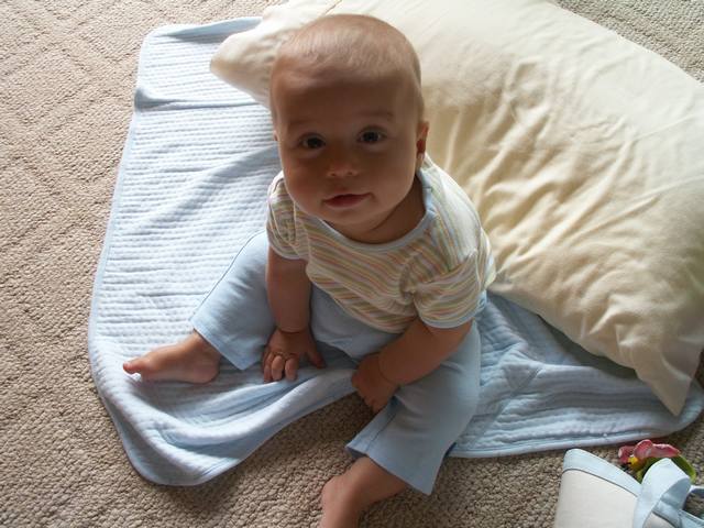 PICT0418.JPG  (52.0 Kb)