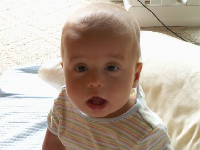 PICT0425.JPG  (29.1 Kb)